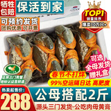 首鲜道【活蟹】三门鲜活青蟹中秋礼盒鲜活发货大螃蟹大红膏蟹母红膏蟹 公母搭配 3-5只 2斤净重【保活】