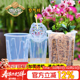 德沃多控根透明花盆12口径园艺绿植盆栽种植盆花卉种菜盆养花多肉塑料盆