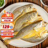 三都港背开三去黄花鱼宁德大黄鱼生鲜冷冻海鱼海鲜烧烤夜宵年货食材鱼类 背开三去黄花鱼300g*3条