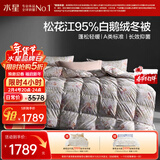 水星家纺羽绒被95%白鹅绒被子冬季加厚冬被芯单人羽绒被150cm×210cm-800g