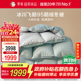 罗莱家纺 羽绒被 A类95%水洗鹅绒被子保暖冬被芯 约4.3斤绿