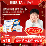 碧然德（BRITA）家用净水壶 滤水壶滤芯 MAXTRA+LE 专家滤芯 12枚装（本品加附件6个共计12个非18枚）