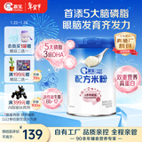 嘉宝（GERBER）多种磷脂+DHA配方米粉250g高铁易吸收宝宝辅食米粉6月+