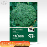 寿禾 西兰花种子种苗青花椰菜盆栽蔬菜种籽 齐松西兰花种子200粒/袋*2