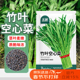 北蔬 空心菜种子苗小叶青梗雍菜通心菜蔬菜种籽 竹叶空心菜种子200粒