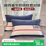 艾薇 牛奶绒枕套法兰绒加厚枕头枕芯套一对 清风韵律 48*74cm