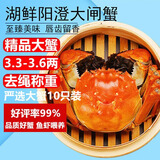 【活蟹】湖鲜阳澄大闸蟹全母3.3-3.6两10只去绳足重送礼鲜活过年螃蟹海鲜礼盒装年夜饭