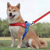 磊嘉狗绳狗链 柯基牵引绳防爆冲胸背带牵引绳中大型小型犬遛狗绳柴犬 红蓝胸背带1个配狗绳1根 XL（建议38-60斤）