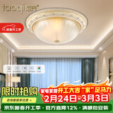 韬齐 欧式吸顶灯客厅现代简约主卧室灯美式阳台灯具 J2014-小号 直径30CM 配单色LED灯泡