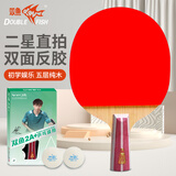 双鱼（DOUBLE FISH）单拍直拍入门级学生专用双面反胶成品乒乓球拍【2A+E 附2球】