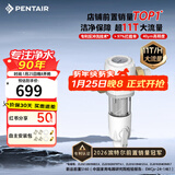 滨特尔（pentair）前置过滤器大通量家用全屋自来水管道40μm过滤器大流量水驱涡轮+反冲洗刮洗净水器 【上门安装】S160升级11T大通量