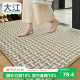 大江 门口地垫入户门脚垫进门门垫玄关垫轻奢高级地毯入户门60x90cm