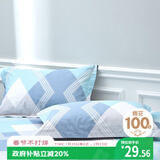 艾薇 A类枕套全棉一对装枕头枕芯套成人大号忱套家用 巴德尔 48*74cm