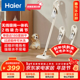 海尔（Haier）无线吸拖一体吸尘器家用车用轻量宠物便携式除尘机大功率大吸力干吸湿拖多用随手吸Q49W新年好礼