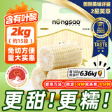 东北农嫂糯玉米段多色可选软糯香吉林原产粘玉米真空低脂粗粮主食 【免切免洗】白甜糯玉米段2kg 约15段