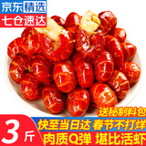 优牧冠特级小龙虾尾 大号活剥麻辣虾球鲜活现剥冷冻固形物含量≥53% 特级虾尾3斤
