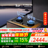 方太【推荐选购TF27新品灶】燃气灶天然气 家用嵌入式5.2kW*猛火双灶 防干烧可联动 02-TEK21