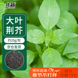 北蔬 荆芥种子种苗河南大叶四季种蔬菜种籽 大叶荆芥种子25g约1.2万粒