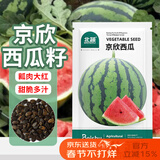 北蔬 京欣西瓜种子种苗大红瓤薄皮超脆甜盆栽瓜籽 京欣西瓜种子约50粒