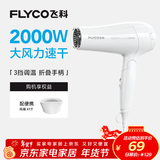 飞科（FLYCO）电吹风机家用发廊大功率2000W速干恒温便携可折叠白色FH6232
