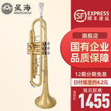 星海（XINGHAI INSTRUMENT）降b调小号乐器 XT-100/120学生考级儿童初学入门款学校乐队通用 升级XT-100型-黄铜变音管