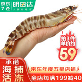 哆鲜生 海捕竹节虾 野外生长活冻国产斑节虾大花对虾九节竹节鬼虾虾类 竹节虾 大号 7-9条 300g(净重)