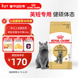 皇家猫粮 英短成猫粮 BS34 通用粮 12月以上 2KG