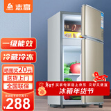 志高（CHIGO）小冰箱迷你小型家用冷藏冷冻两用宿舍出租房用双门办公室电冰箱节能省电 【一级能效】48L金色【三天约一度电】