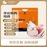 京东跑步鸡华北柴鸡（母鸡） 2.2斤 冷冻 360天以上林地散养 月子鸡汤食材