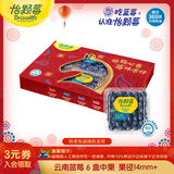 怡颗莓Driscoll's云南蓝莓14mm+ 6盒装 约125g/盒 新鲜水果礼盒