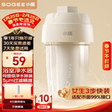 小质前置过滤器1T/H热水器净水器自来水花洒美肤除氯沐浴1机1芯SQ01-W