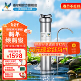 道尔顿（Doulton）净水器家用直饮英国原装进口  道尔顿明星爆款DIS厨下矿物质净水机自来水过滤0废水不用电 DIS套机(自带/加配各1芯共2支)