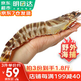 哆鲜生 海捕竹节虾 野外生长活冻国产斑节虾大花对虾九节竹节鬼虾虾类 竹节虾 大号 7-9条 300g(净重)