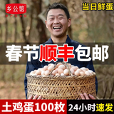 乡公馆土鸡蛋新鲜农家散养谷物喂养无抗土鸡蛋柴笨鸡蛋草鸡蛋新鲜整箱装 土鸡蛋100枚 整箱4kg