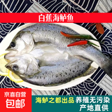 深海七星三去开背免洗海鲈鱼空保鲜活鱼新鲜速冻冷冻清蒸高营养 600克-700克 开背海鲈鱼3条【三去免洗】聚划算