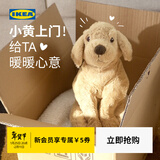 宜家（IKEA）古西格格登玩偶公仔宠物狗抱枕送礼女生睡觉毛绒玩具生日礼物 狗/金毛寻回犬40cm