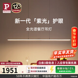 Paulmann P德国柏曼护眼餐厅吊灯全光谱一字长条餐桌吧台LED灯具简约智能 【推荐1.2-1.6m长桌】 已接入米家APP【雅光黑】
