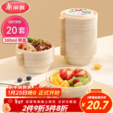 美丽雅 一次性饭盒食品级580ml*20套  耐高温快餐碗外卖打包带盖野餐盒