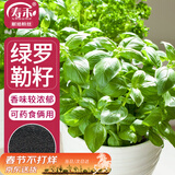寿禾 罗勒种子苗食用香草绿色盆栽种植香草种籽 潍丰寿艺罗勒种子5g