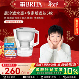 碧然德（BRITA）过滤净水器 家用滤水壶 Kalea 晨汐系列XL  3.5L（灰）+专家版滤芯5枚 环保加固包装