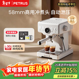 柏翠(petrus) 咖啡机意式浓缩家用小型半自动蒸汽打奶泡PE3833海盐小方 新年礼物