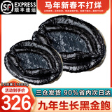 海泽鲜 新西兰黑金鲍 深海活捕大鲍鱼生鲜年货礼盒节日送礼黑金鲍鱼礼包 【黑金鲍2只装 】 1000g(净重)