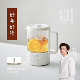 olayks立时 养生壶迷你养生杯 小型煮茶壶一人花茶壶带滤网 恒温不锈钢水壶 0.6L养生电炖杯