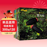 生命的故事 第3辑10册 萤火虫乌龟寄居蟹小丑鱼孑孓 3-6岁儿童昆虫科普高清实拍动物世界绘本百科全书 自然科学生命简史历程启蒙 《人民日报》推荐 