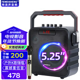 特美声音响SL05-26广场舞户外音响K歌唱歌家用演出大功率便携式手提蓝牙音箱美声话筒移动手提音箱 SL05-26单话筒+歌曲U盘