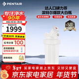 滨特尔（pentair）大白瓶前置过滤器 全屋家用自来水过滤器 前置净水器大蓝瓶 中央净水机大流量大胖瓶高精度 【10寸大白瓶】包安装