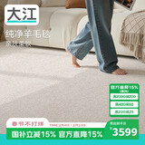 大江地毯客厅 20%羊毛地毯卧室大面积轻奢 沙发茶几免洗抗污300x400cm