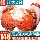 首鲜道 原装进口超大1-2只面包蟹鲜活熟冻螃蟹满黄大螃蟹中秋礼盒 面包蟹 2只共1600-1200g 净重