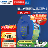 正泰（CHNT）阻燃电线BV2.5/4/6平方单股铜芯电线 电缆线国标电源线家用铜芯线 双色地线BV4  100米