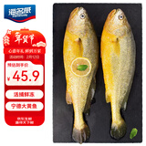 海名威 冷冻黄花鱼700g/2条 宁德大黄鱼地标 海鲜水产 生鲜鱼类 年货节